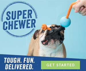 Super Chewer Box Discount Coupon Codes
