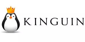 Kinguin Gaming Online Discount Coupon 8% OFF Sitewide